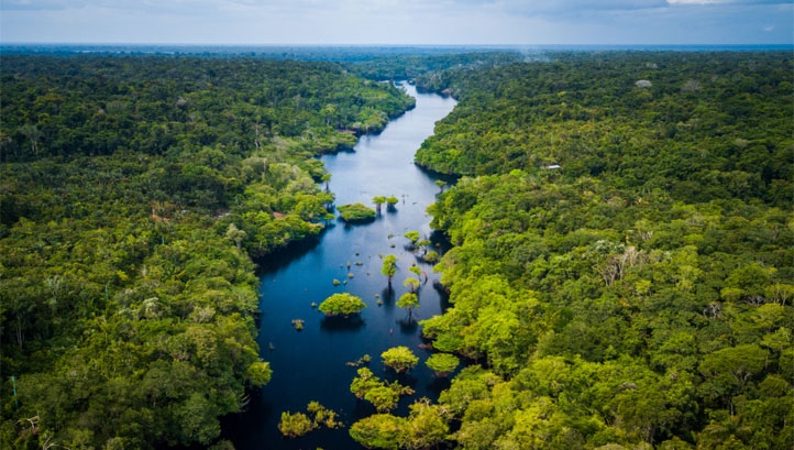 Businesses are under pressure to measure and disclose natural capital impacts, but often cite challenges in terms of metrics and data collection